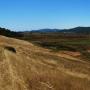 Deer Island Loop Trail looking south.